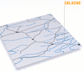 3d view of Salashe