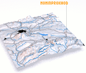 3d view of Momin Prokhod
