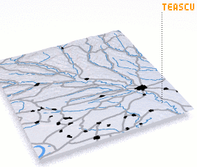 3d view of Teascu