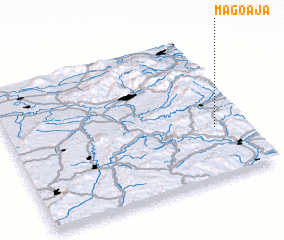 3d view of Măgoaja