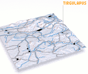 3d view of Tîrgu Lăpuş