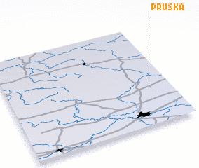 3d view of Pruska