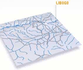 3d view of Libogo