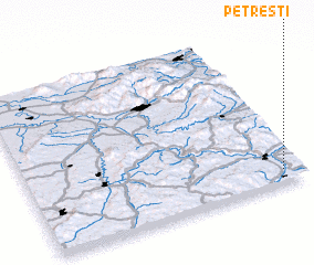 3d view of Petreşti