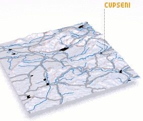 3d view of Cupşeni