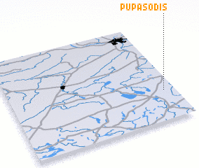 3d view of Pupasodis