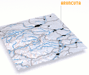 3d view of Aruncuta