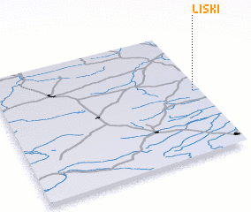 3d view of Liski