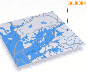 3d view of Salinoka