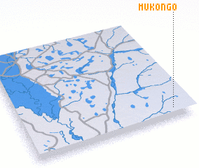 3d view of Mukongo