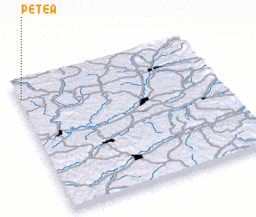 3d view of Petea