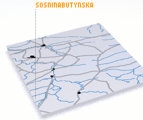 3d view of Sosʼnina Butynʼska