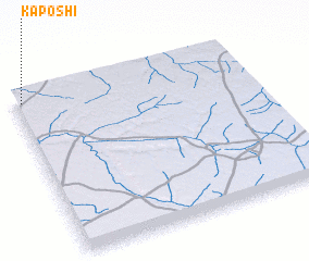 3d view of Kaposhi