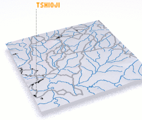 3d view of Tshioji