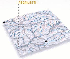 3d view of Negrileşti