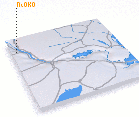 3d view of Njoko