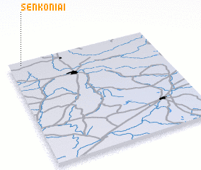 3d view of Senkoniai