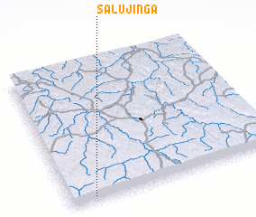 3d view of Salujinga