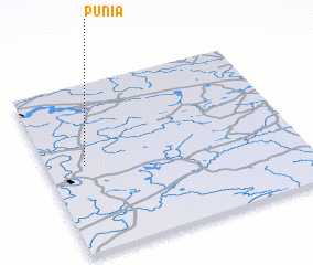 3d view of Punia