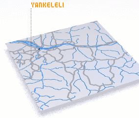 3d view of Yankeleli