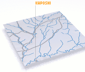 3d view of Kaposhi