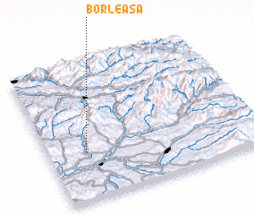 3d view of Borleasa