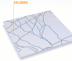 3d view of Solwong