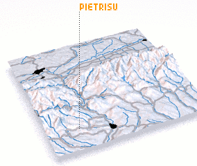 3d view of Pietrişu