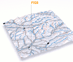 3d view of Figa