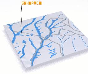 3d view of Sakapuchi