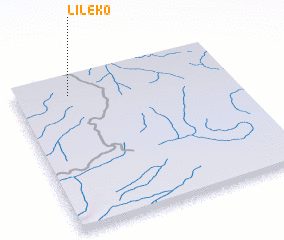 3d view of Lileko