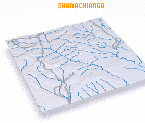 3d view of Swanachianga