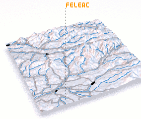 3d view of Feleac