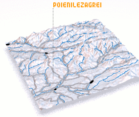 3d view of Poienile Zăgrei