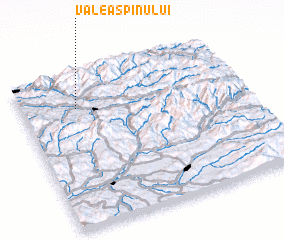 3d view of Valea Spinului