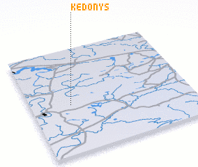 3d view of Kedonys