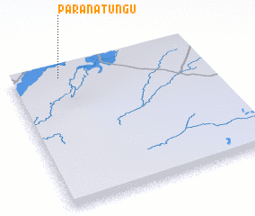 3d view of Paranatungu