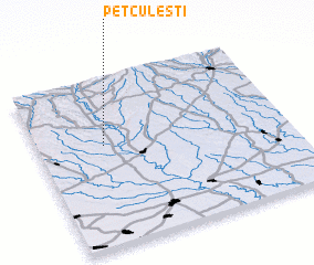 3d view of Petculeşti