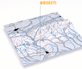 3d view of Bîrseşti