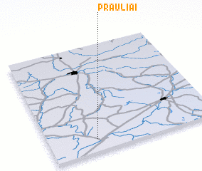 3d view of Prauliai