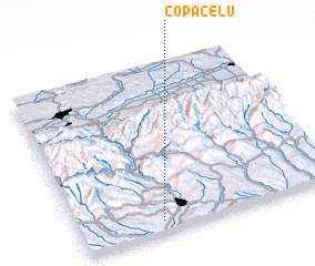 3d view of Copăcelu