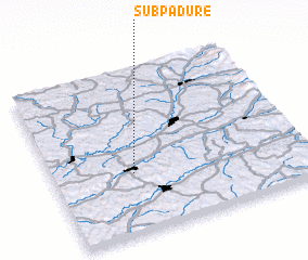 3d view of Subpădure