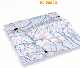 3d view of Pripoara