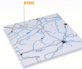 3d view of Borki