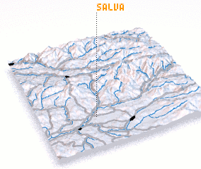 3d view of Salva