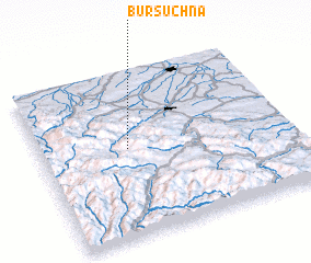 3d view of Bursuchna