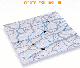 3d view of Fînaţele Silvaşului