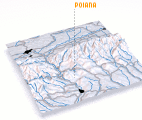 3d view of Poiana