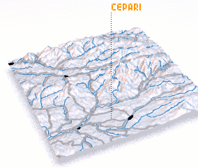 3d view of Cepari