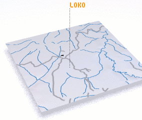3d view of Loko